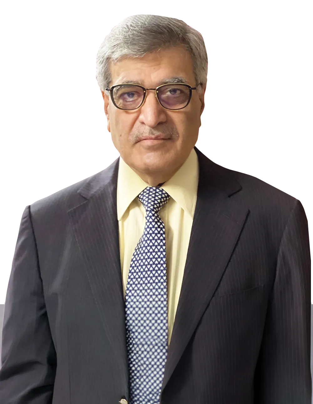 Dinesh Kumar Mehrotra, Chairman