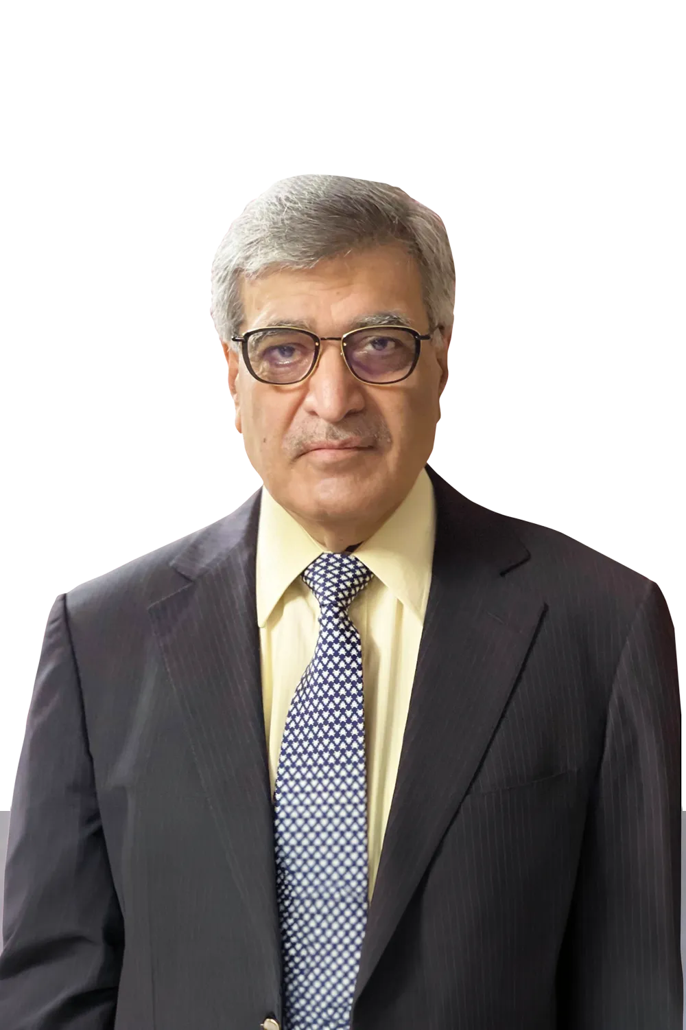 Dinesh Kumar Mehrotra, Chairman