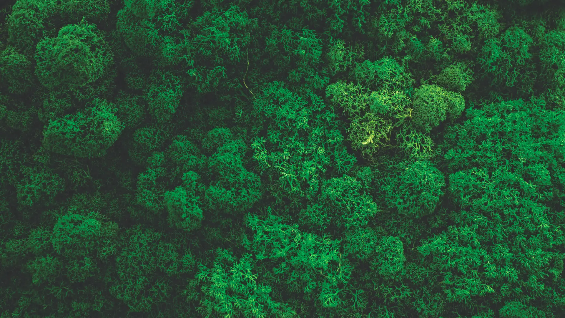 CAMS — advancing ESG commitments